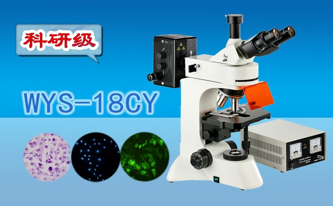 科研級三目熒光妖精视频在线免费观看WYS-18CY