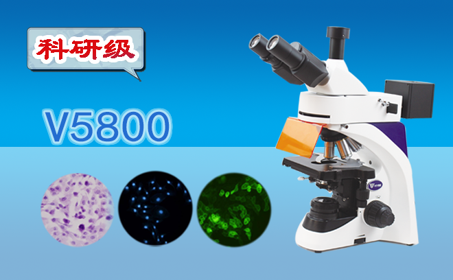 科研級三目熒光妖精视频在线免费观看V5800