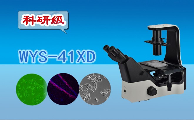 科研級三目倒置生物妖精视频在线免费观看WYS-41XD