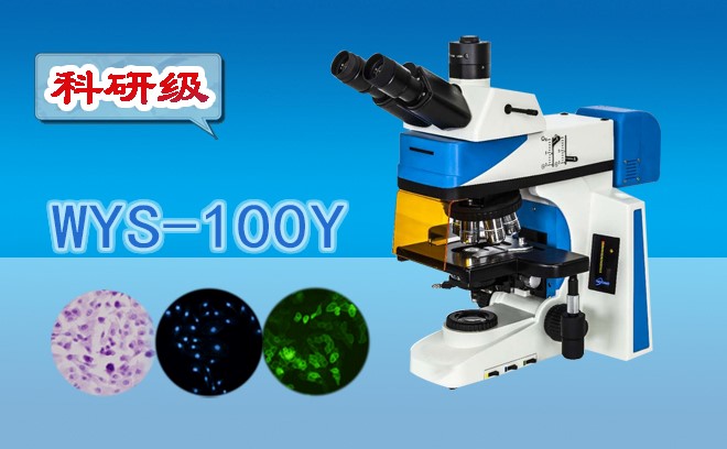 妖精视频在线免费观看在生命科學研究中有哪些應用