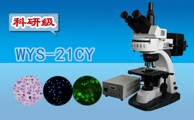 2022年生命科學妖精视频在线免费观看產業化項目的市場規模