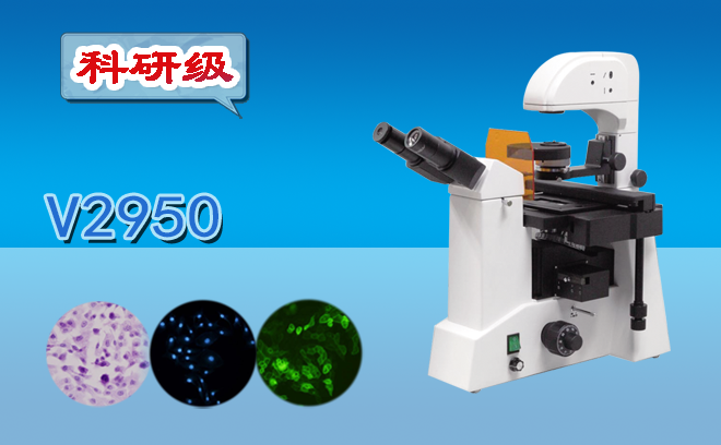 熒光妖精视频在线免费观看的使用方法是什麽？還不趕快收好這份使用手冊