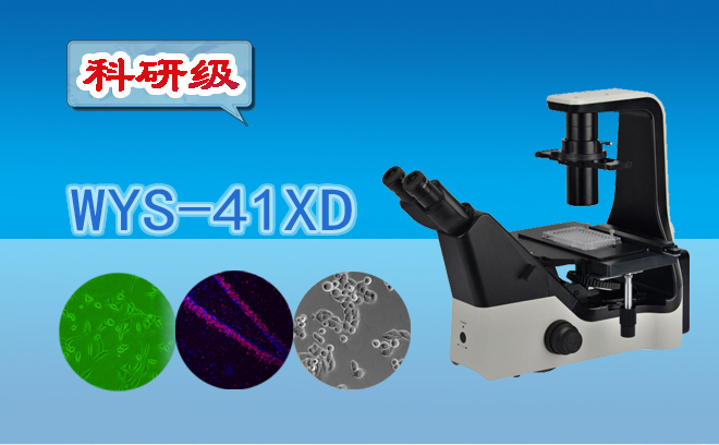 妖精视频在线免费观看資訊：固體雜質的種類和含量樣品分析生物妖精视频在线免费观看