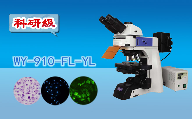 1671081533186168.png 熒光妖精视频在线免费观看.png